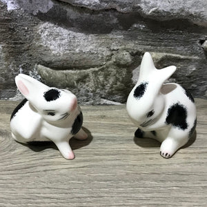 Tiny Rabbits