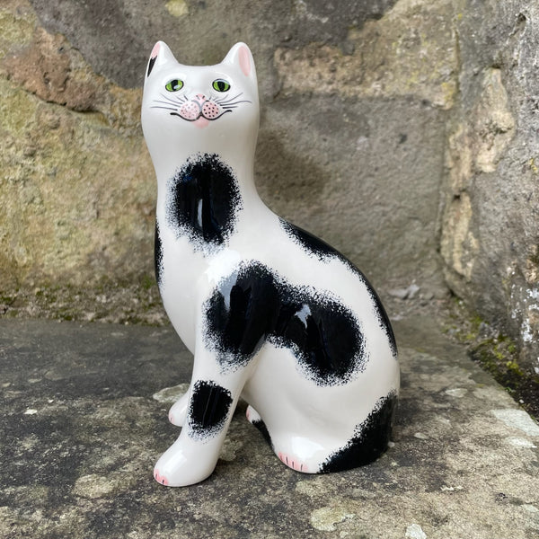 Black and White Small Cat