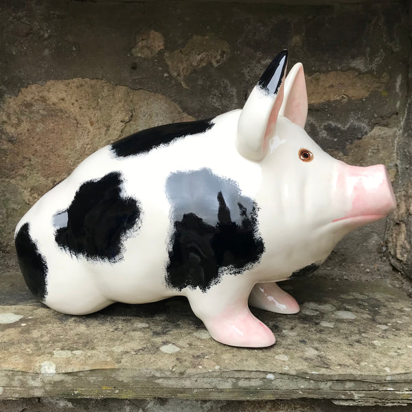 Black and White Large Pig