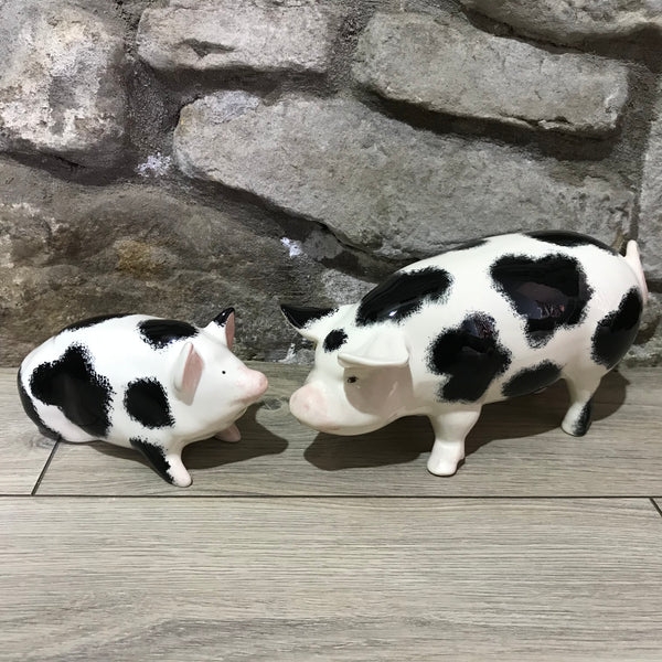 Black and White Small Pig
