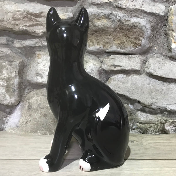 Black with White Bib Large Cat