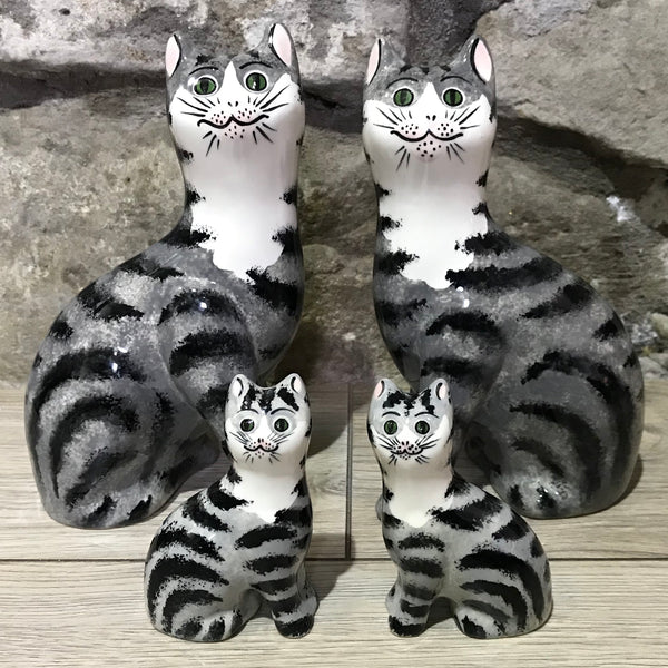 Grey Tabby Small Cat