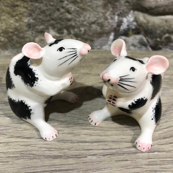 Black and White Mouse
