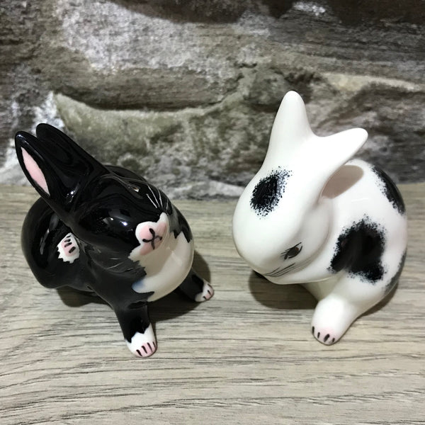 Black and White Tiny Rabbit