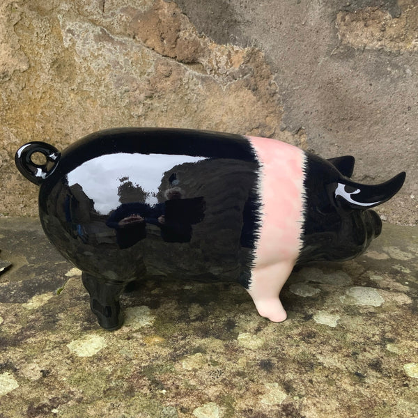 Saddleback Standing Pig