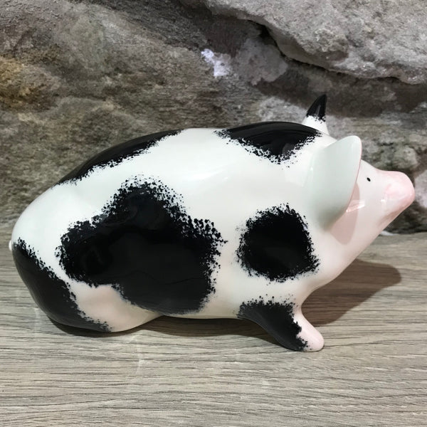 Black and White Small Pig