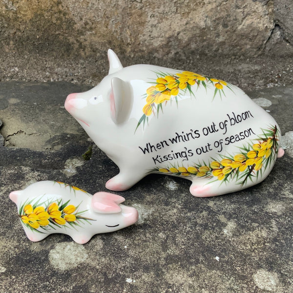 Gorse Tiny Pig