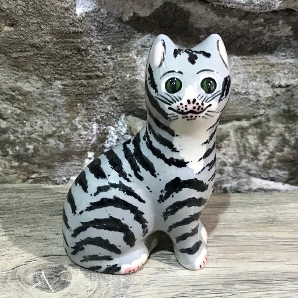 Tabby Tiny Cat