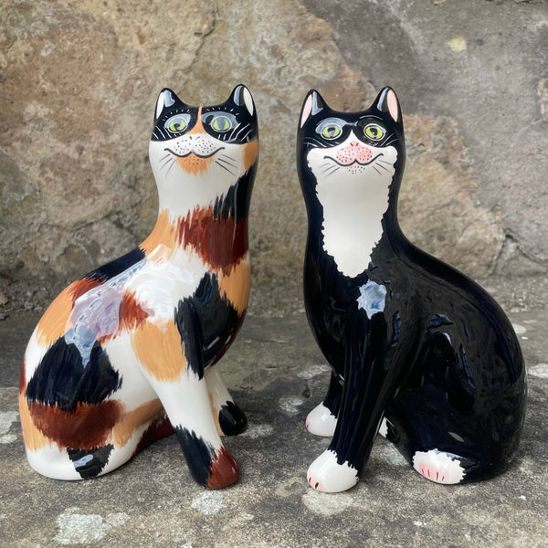 Black with White Bib Small Cat