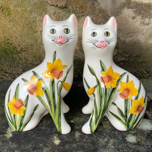 Daffodil Small Cat