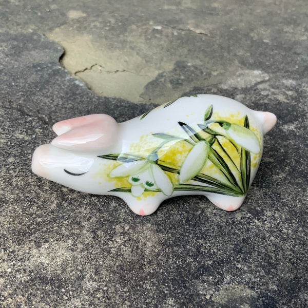Snowdrop Tiny Pig