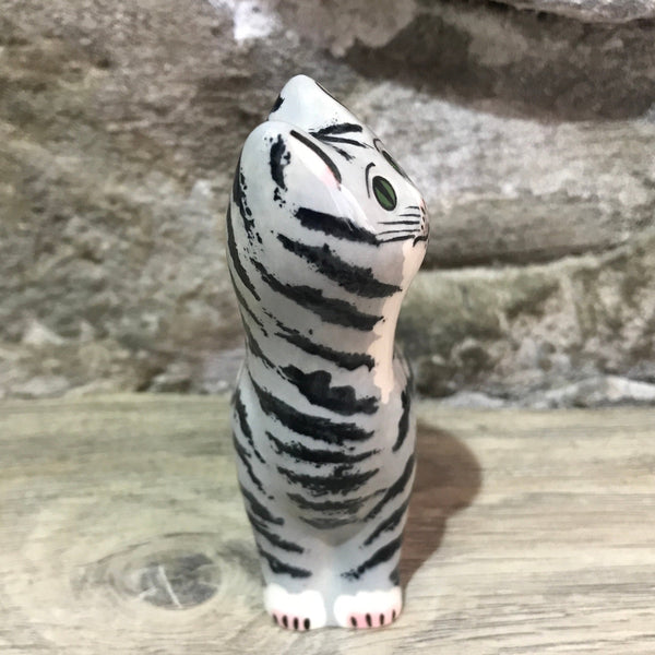 Tabby Tiny Cat
