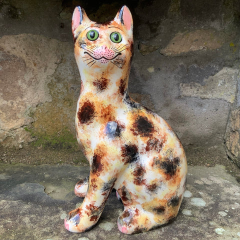 Light Tortoiseshell Large Cat