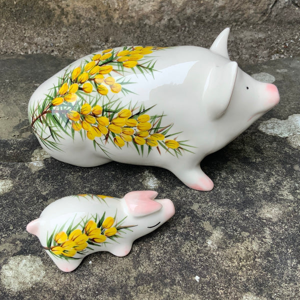 Gorse Tiny Pig