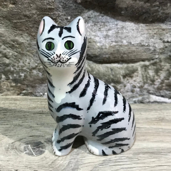 Tabby Tiny Cat
