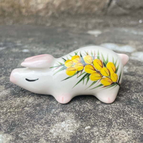 Gorse Tiny Pig
