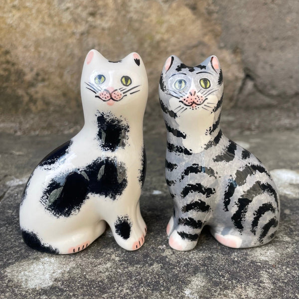 Tabby Tiny Cat