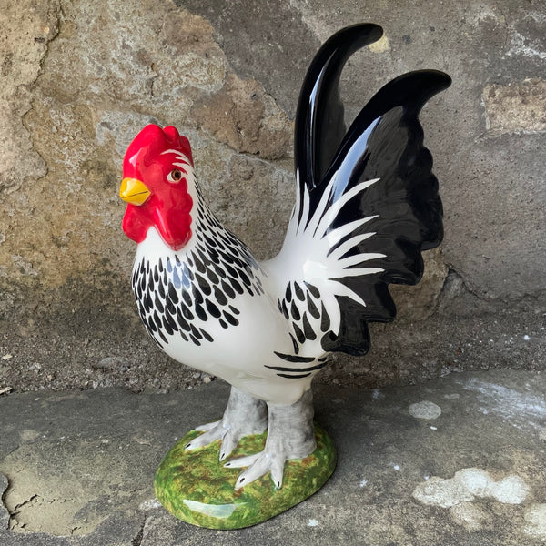 Black and White Cockerel