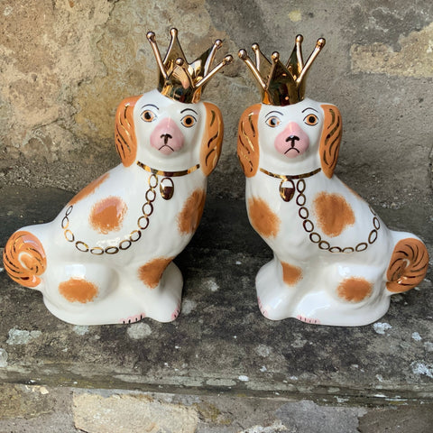 Crown Brown and White Wally Dog