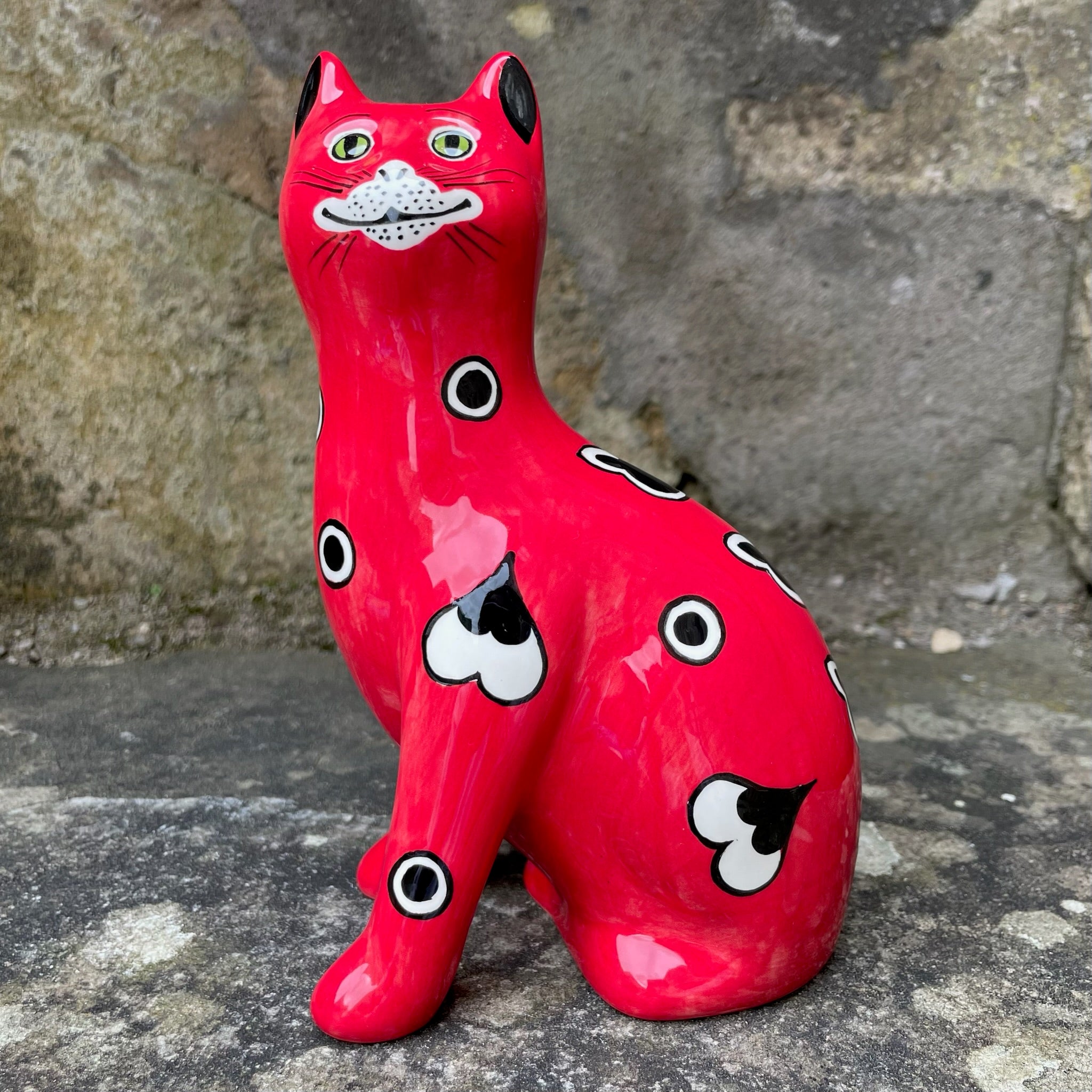 【親株出品】 RED CAT WEAZLE 赤猫 親株出品】 RED CAT WEAZLE 赤猫