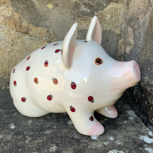 Ladybird Medium Pig