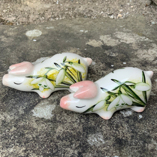 Snowdrop Tiny Pig