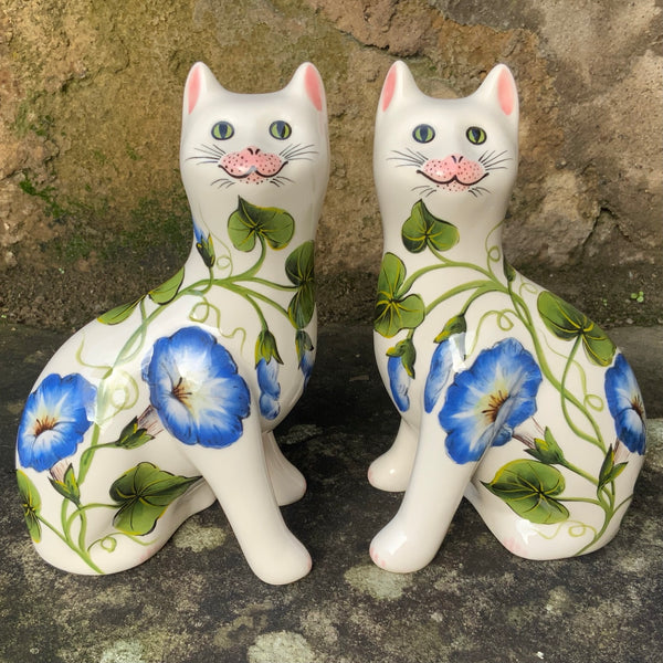 Morning Glory Small Cat