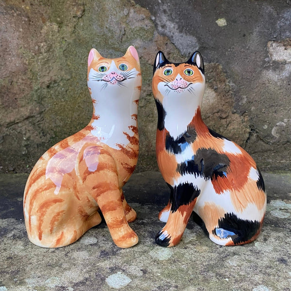 Calico Small Cat