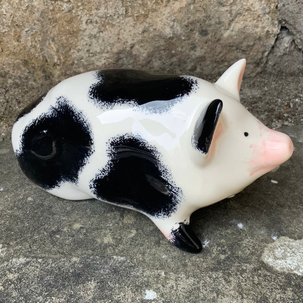 Black and White Small Pig