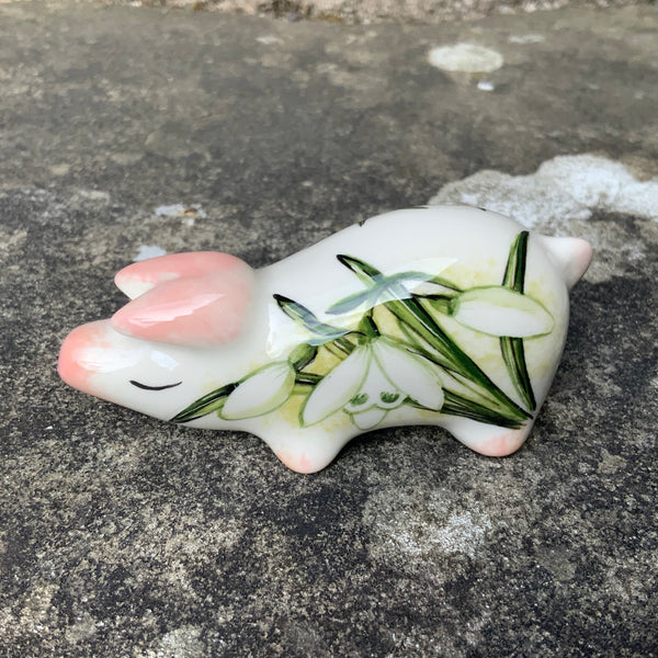 Snowdrop Tiny Pig