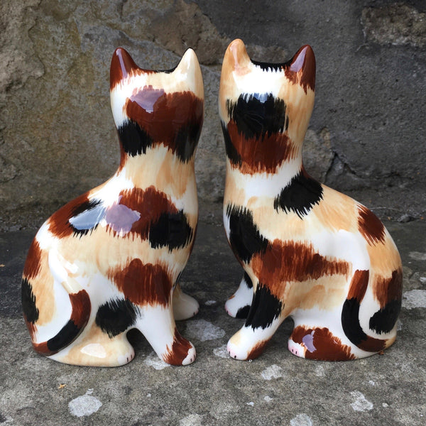 Calico Small Cat