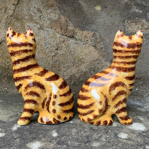 Ginger Tabby Small Cat