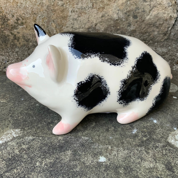 Black and White Small Pig