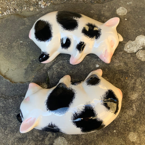 Black and White Sleeping Piglet