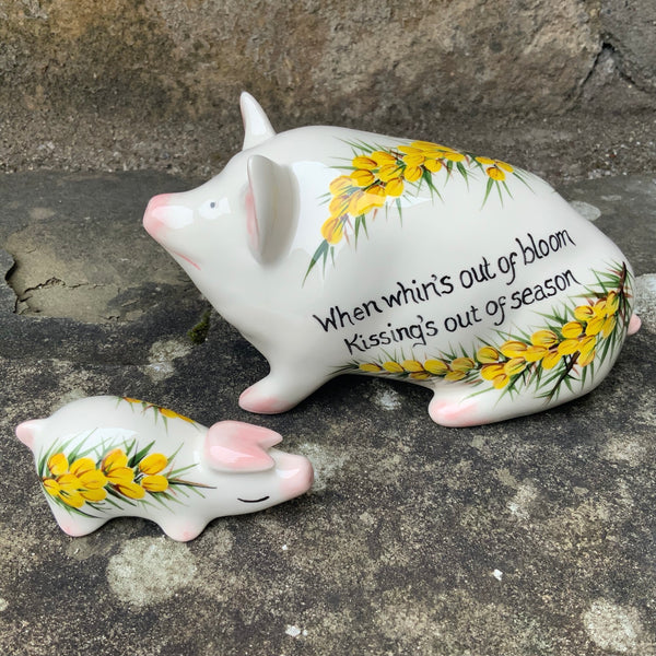 Gorse Tiny Pig
