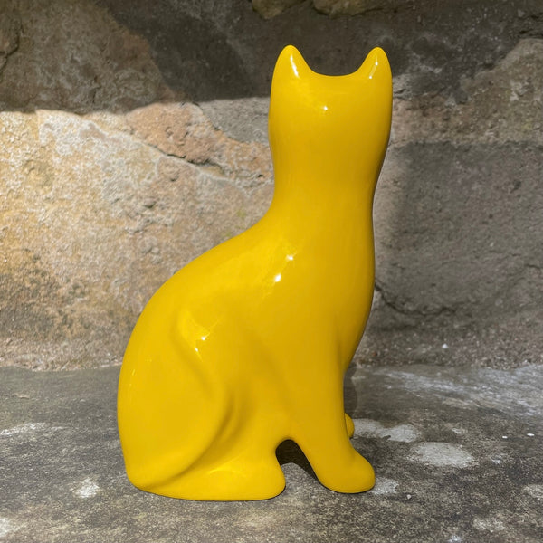 Yellow Small Cat
