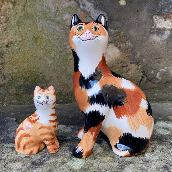 Calico Small Cat