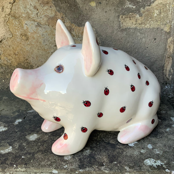 Ladybird Medium Pig