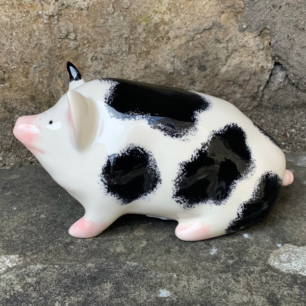 Black and White Small Pig