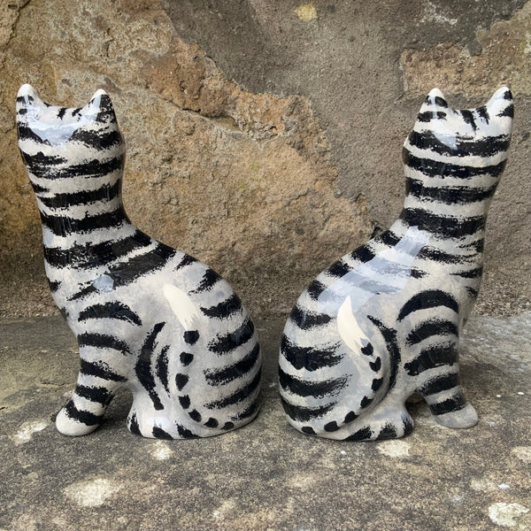Tabby Small Cat