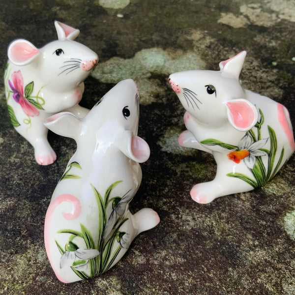 Snowdrop Mouse