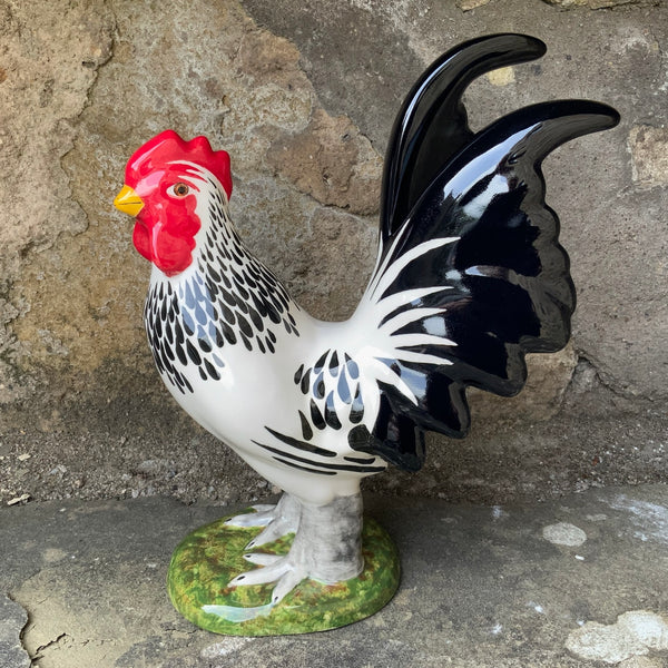 Black and White Cockerel