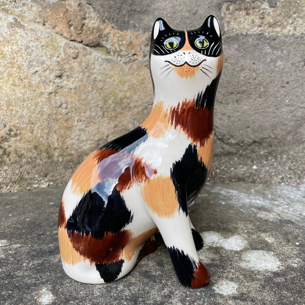 Calico Small Cat