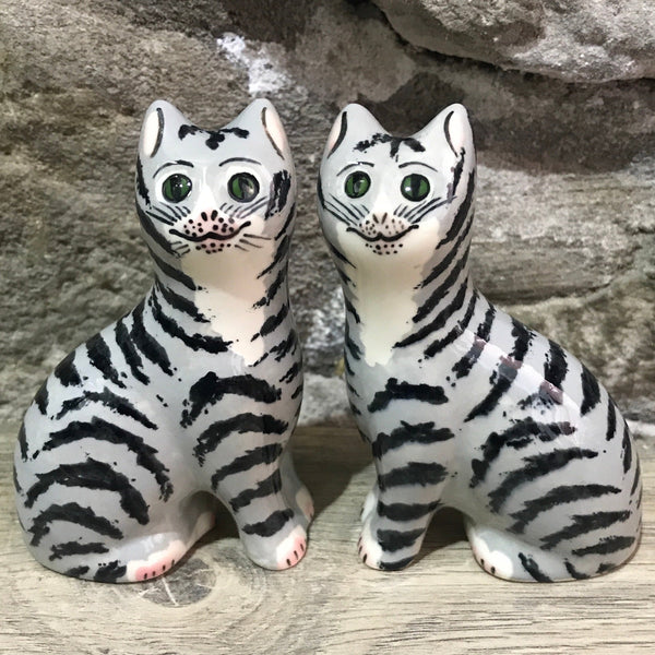 Tabby Tiny Cat