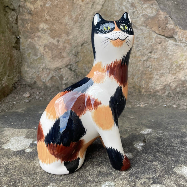 Calico Small Cat