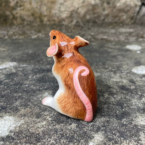 Light Brown Mouse
