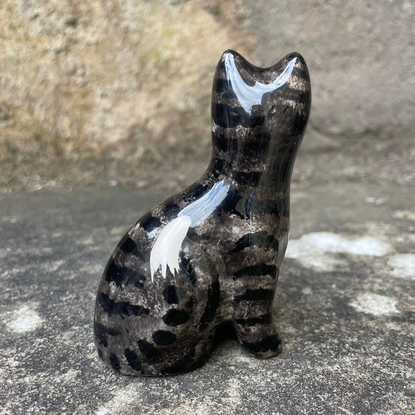 Tabby Tiny Cat