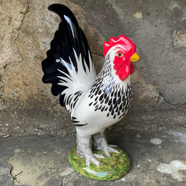 Black and White Cockerel