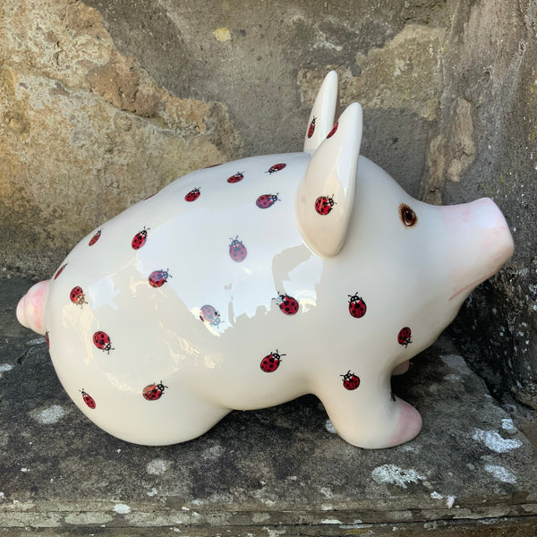 Ladybird Medium Pig