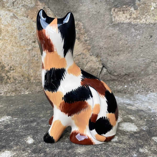 Calico Small Cat